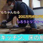 しずおかずらちゃんねる　しろうとリフォームdiy 220万円ボロ戸建リフォーム 1階キッチンの床かいた