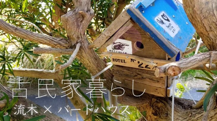 予算0円。流木と廃材で作ったバードハウス。【DIY家具-07】