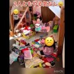 築28年の家　洋室６畳　姉妹部屋　ロフト　素人　DIY