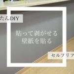 【リビングDIY】建売住宅の壁紙を張り替える