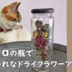 【100均】Seriaの瓶を使ってバラのドライフラワーアレンジ　ハンドメイド／DIY／100均