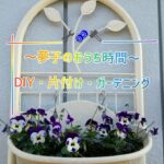 【観葉植物】観葉植物の水やり　理由が分からない　DIY初心者　掃除　片付け　整理　収納　50代　暮らし編