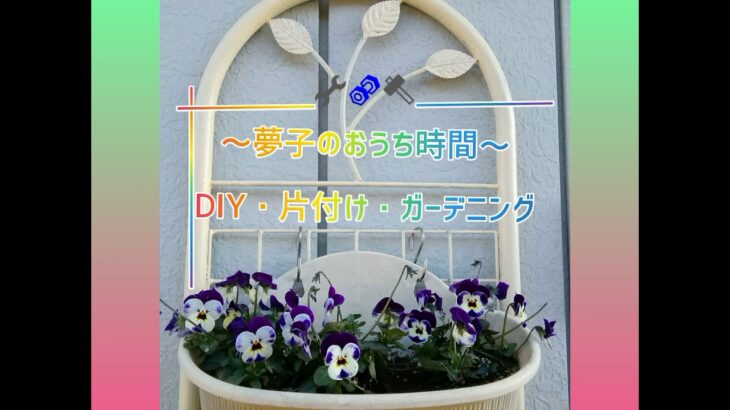 【観葉植物】観葉植物の水やり　理由が分からない　DIY初心者　掃除　片付け　整理　収納　50代　暮らし編