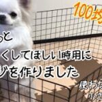 【100均DIY】ご飯中や掃除中に少し大人しくしてほしい時用に簡単にできるケージを作りました