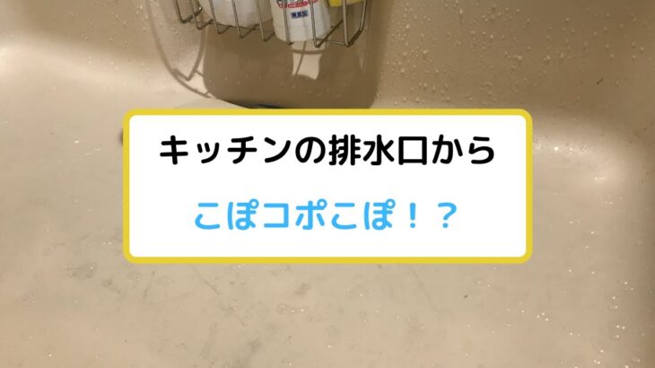 【DIY】キッチン排水口から詰まりのサイン！！
