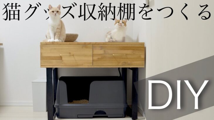 【DIY】シンプルな猫グッズ収納を自作してトイレ周りを模様替えしました。