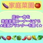 【家庭菜園】菜園プランターを移動　野菜コーナー　DIY初心者　掃除　片付け　整理　収納　ガーデニング　50代　家庭菜園編No.5 total No.69