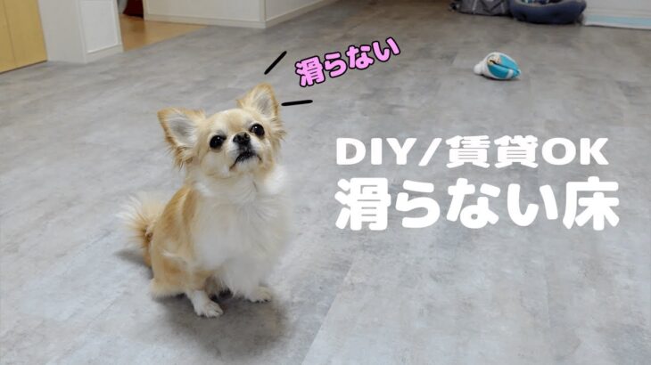 【DIY】愛犬の笑顔が見たい！フローリングからフロアタイルに変えてみた！置くだけ簡単/滑らない床/賃貸OK