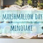 ミスチル大好きなカップルが歌ってみた”Marshmallow day” ～ in DIYした団地キッチン ～ みのたけPV