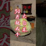 Chinese DIY | MiNI Cooking | ミニキッチンセット | Mini Kitchen | Asmr Eating