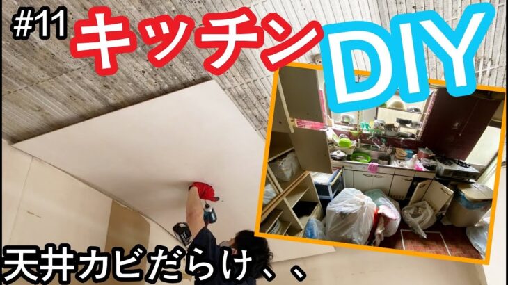 【ゴミ屋敷DIY 】#11 キッチンのDIYリフォーム開始！　天井はカビだらけ、、