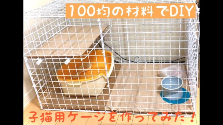 【DIY】100均の材料で子猫用のケージ作り！