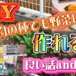 【のぶDIYガーデニングシリーズ11】【家庭菜園】初心者でもダイソー100均の種でも野菜は作れるよう！！！プラス良い話ａｎｄ料理だよ！