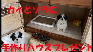 ホームレス子犬たちに自作ＤＩＹタンスハウスをプレゼント！