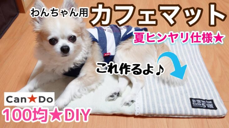 【100均DIY】針糸不要！CanDo商品だけで犬用カフェマットを手作りするよ/チワワ大暴れ(笑)夏仕様/購入品/キャンドゥ