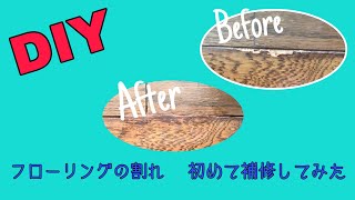 DIY フローリングの割れ補修　前知識ゼロで初めての修繕