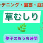 【草むしり】狭地の草取り　いつか家庭菜園スペースにしたい　DIY初心者　掃除　片付け　整理　収納　ガーデニング　50代　庭編No.8 total No.103