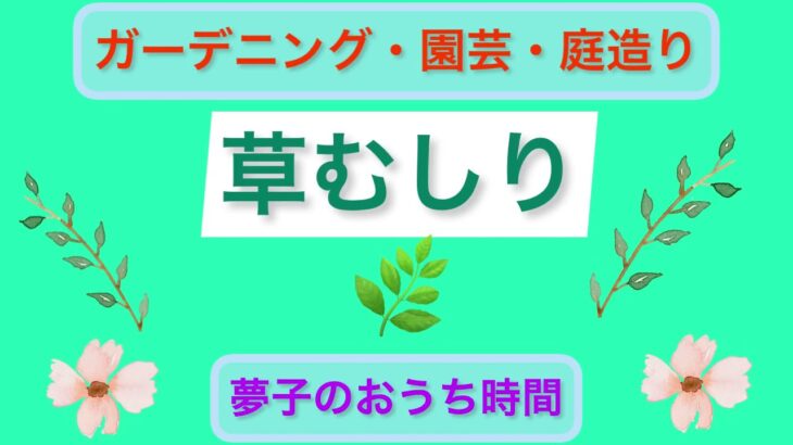 【草むしり】狭地の草取り　いつか家庭菜園スペースにしたい　DIY初心者　掃除　片付け　整理　収納　ガーデニング　50代　庭編No.8 total No.103