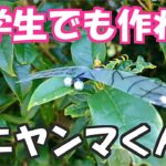 【100均DIY】オニヤンマくんが虫よけに効くらしいので100均の商品だけで作ってみました【虫対策】