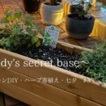 【居心地の良い暮らし　#3】キッチンDIY　ハーブ植え付け　七夕