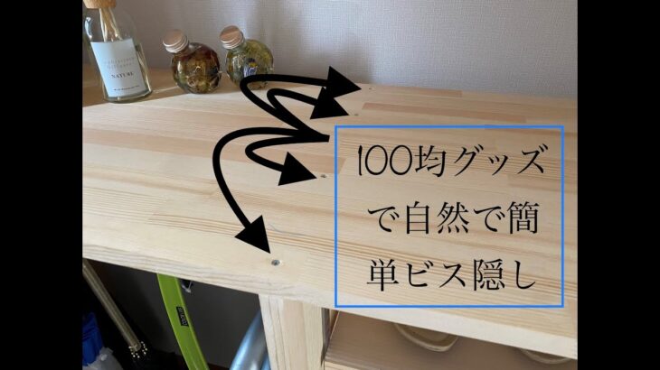 【100均】グッズで気になるビスを簡単隠しDIY