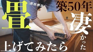 ＃36 リビングの【小上がり】無くす？活かす？無限の可能性を秘めたDIYがスタートしました