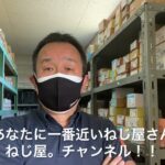 【弊社の秘密】DIYで作業スペースの改装！　2×4材で作る壁面収納？