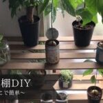 ●団地DIY●狭いキッチンのデッドスペースにすのこで植物棚を作ってみた！彼氏の住む団地に引っ越した彼女が好き放題DIYした結果。