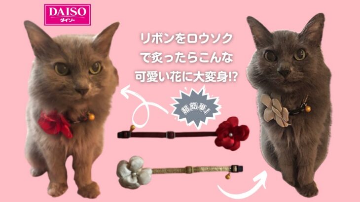 100均でDIY!ろうそくでリボンが大変身!?花の猫首輪ができた