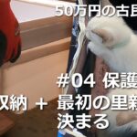 #38 床下収納＋保護猫#04／温故知新　50万円の古民家DIY