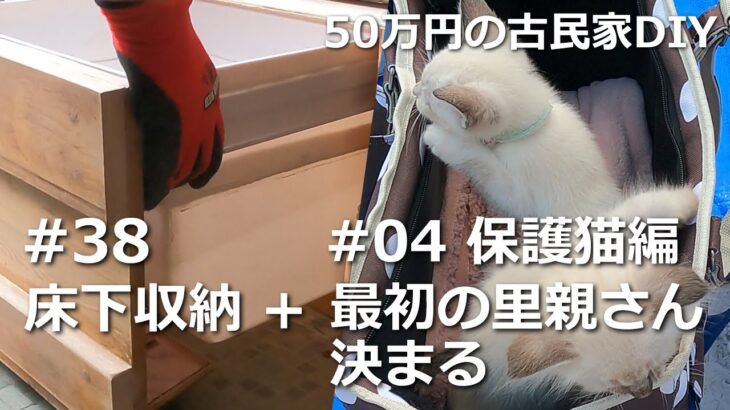 #38 床下収納＋保護猫#04／温故知新　50万円の古民家DIY