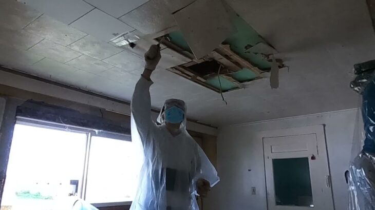 【DIY】キッチンの改装,その２。改装のためにキッチンの天井を剥がすとネズミの巣が……。