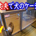 【DIY】１００均アイテムを使って犬のケージ作り。簡単丈夫ケージを作りました。