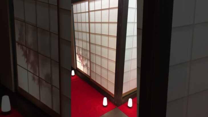 マンションのリビングにオシャレ和室をDIY。Japanese Tea House by RBaba  部屋の中に部屋、仕切り。組立1時間。テレワークに。#shorts