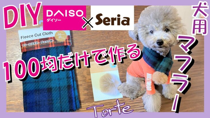 【超簡単•犬服】100均だけで犬用ポンポン付マフラーの作り方🐶トルテくん大喜び🐶【DIY・リメイク】（トイプードルのTorte channel)