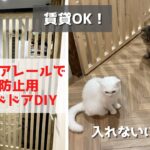 【賃貸DIY】猫がキッチンに入れないように侵入防止用のスライドドアを作りました。