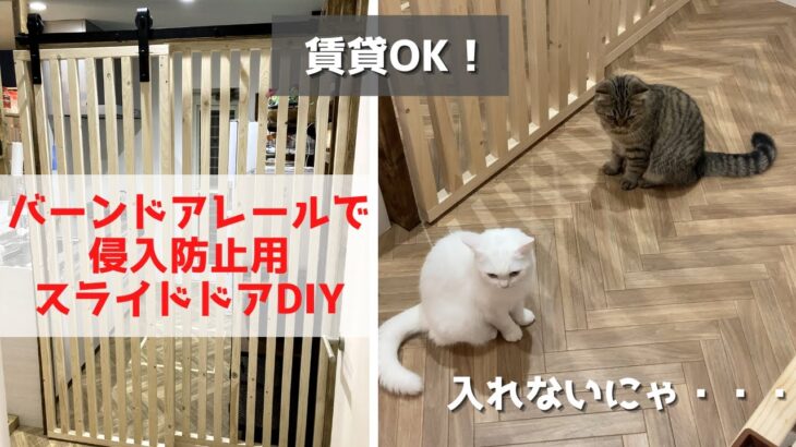 【賃貸DIY】猫がキッチンに入れないように侵入防止用のスライドドアを作りました。