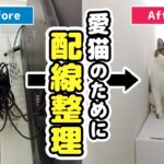 愛猫のためにリビングの配線を見直してみた【プチDIY】