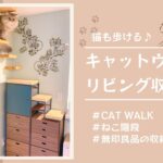 DIY｜猫も歩ける♪キャットウォーク リビング収納〈無印良品の収納BOXを利用〉