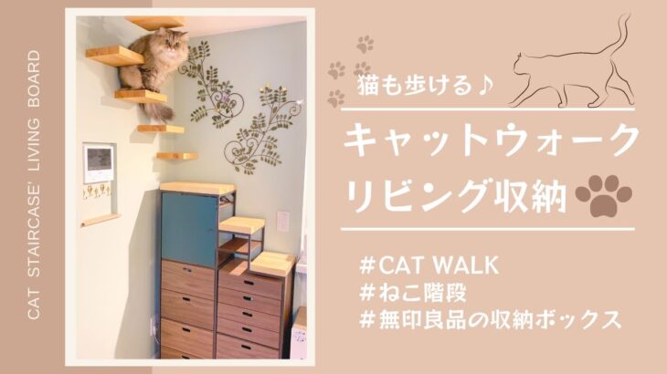 DIY｜猫も歩ける♪キャットウォーク リビング収納〈無印良品の収納BOXを利用〉