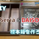 [DIY]　Seria & DAISO　標本箱を作ろう