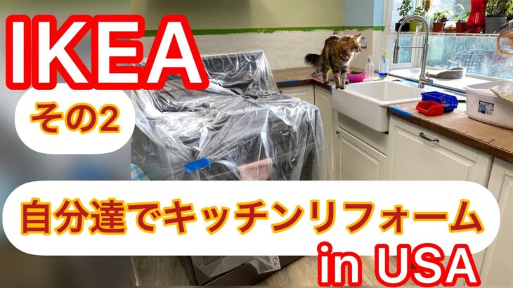 IKEA kitchen DIY 自分達でキッチンリフォーム その2