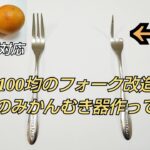 100均のフォークで最高のみかん皮むき器作ってみた ムッキーちゃんよりも  ライフハックDIY グレープフルーツ