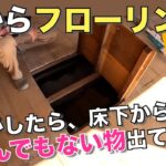 【DIY】畳からフローリング！和室を洋室に（前編）