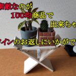 １００均素材で素敵なものづくり ＤＩＹ Nice manufacturing with 100 uniform materials DIY ～裏庭の小さな生きもの達の物語#231～