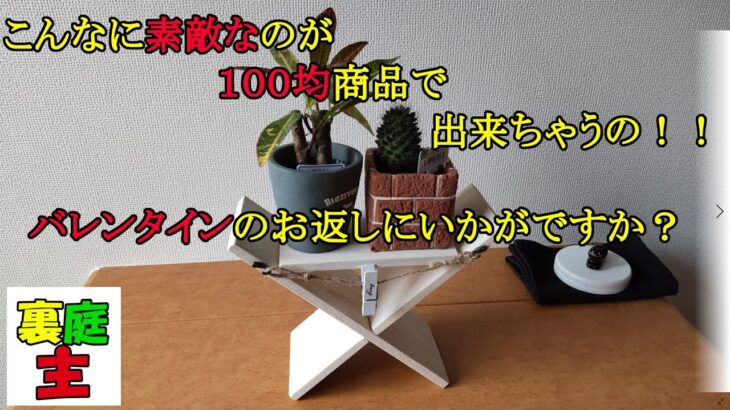 １００均素材で素敵なものづくり ＤＩＹ Nice manufacturing with 100 uniform materials DIY ～裏庭の小さな生きもの達の物語#231～