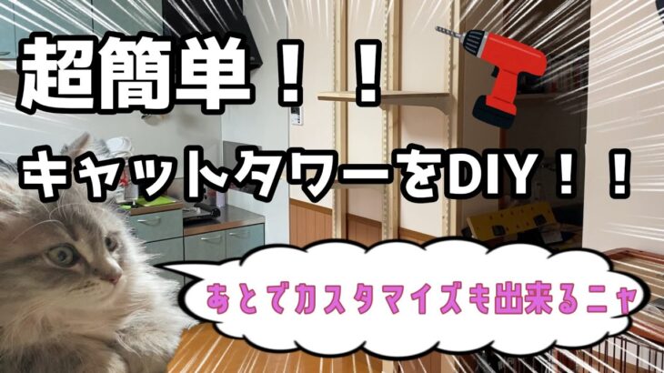 超簡単！！キャットタワーをDIYしてみた！！