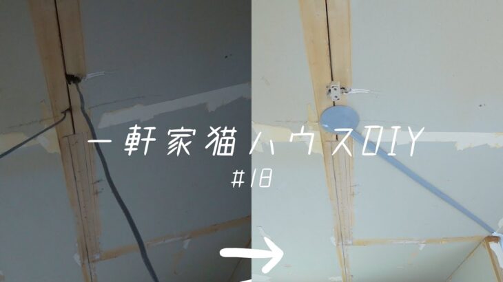 【猫家DIY】#18 電気工事と猫扉穴埋め