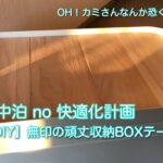 車中泊no快適化計画【DIY】無印の頑丈収納ボックステーブル