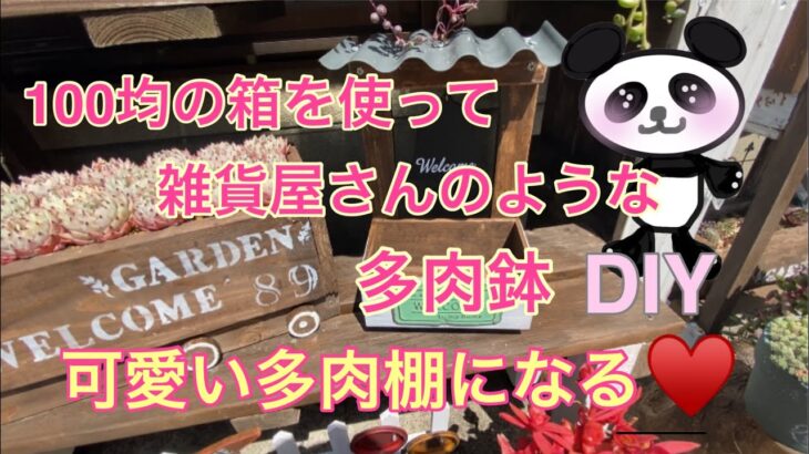 【多肉植物】#49  100均商品を使った屋根付きDIY鉢作り😍✨